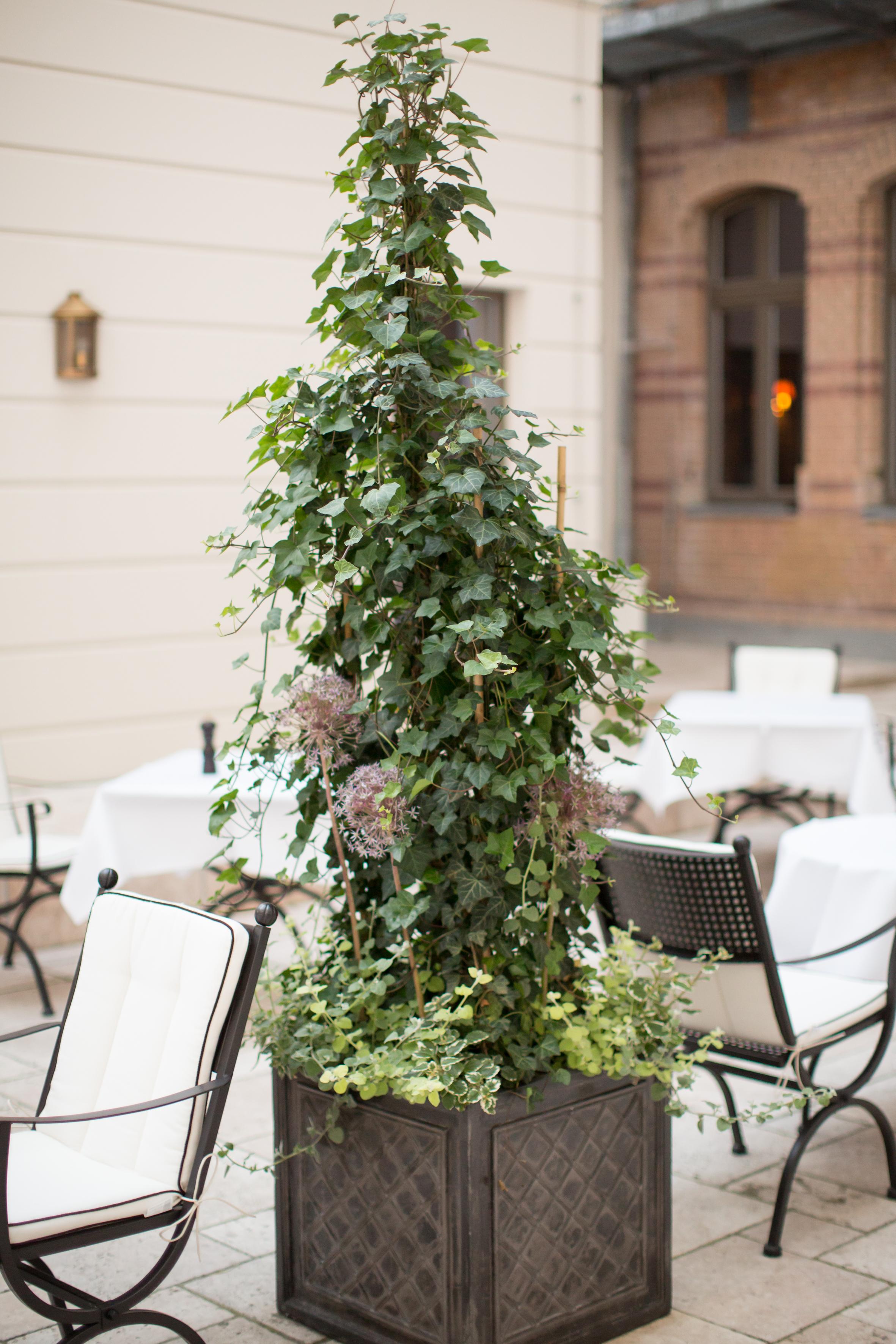 Monbijou Hotel Berlín Exterior foto